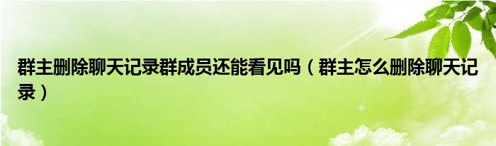 群主删除聊天记录群成员还能看见吗（群主怎么删除聊天记录）