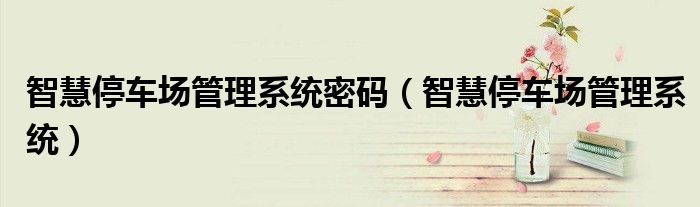 智慧停车场管理系统密码（智慧停车场管理系统）