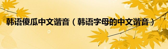 韩语傻瓜中文谐音（韩语字母的中文谐音）