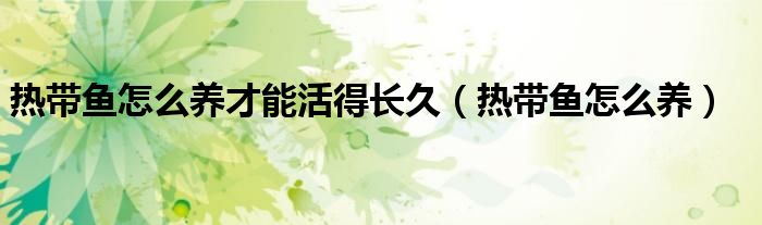 热带鱼怎么养才能活得长久（热带鱼怎么养）