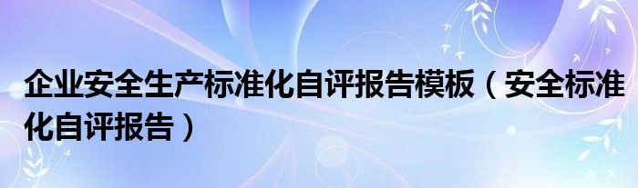 企业安全生产标准化自评报告模板（安全标准化自评报告）