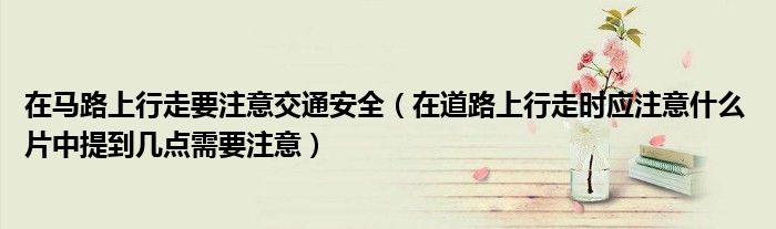 在马路上行走要注意交通安全（在道路上行走时应注意什么 片中提到几点需要注意）