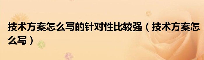 技术方案怎么写的针对性比较强（技术方案怎么写）