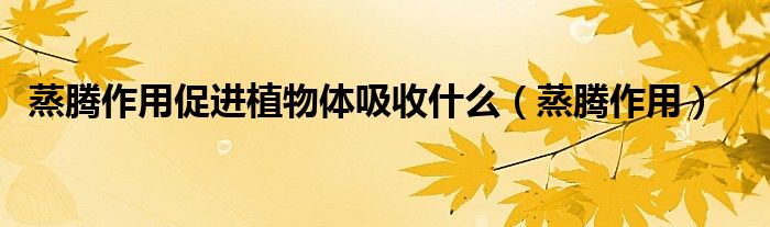 蒸腾作用促进植物体吸收什么（蒸腾作用）