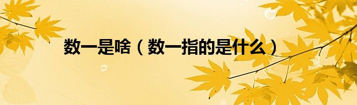 数一是啥（数一指的是什么）