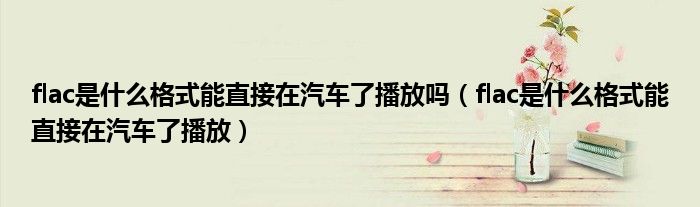 flac是什么格式能直接在汽车了播放吗（flac是什么格式能直接在汽车了播放）