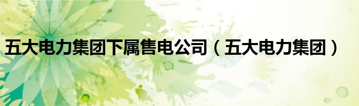 五大电力集团下属售电公司（五大电力集团）