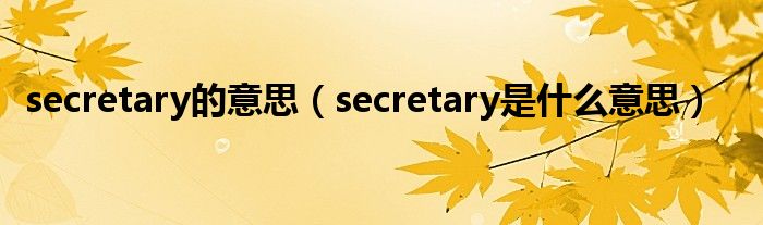 secretary的意思（secretary是什么意思）