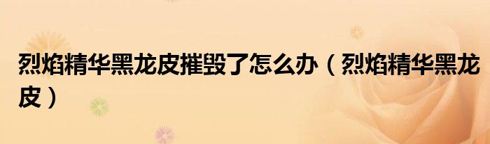 烈焰精华黑龙皮摧毁了怎么办（烈焰精华黑龙皮）