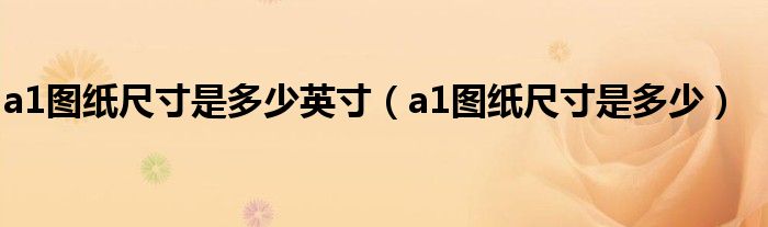 a1图纸尺寸是多少英寸（a1图纸尺寸是多少）