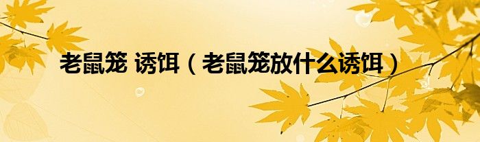 老鼠笼 诱饵（老鼠笼放什么诱饵）