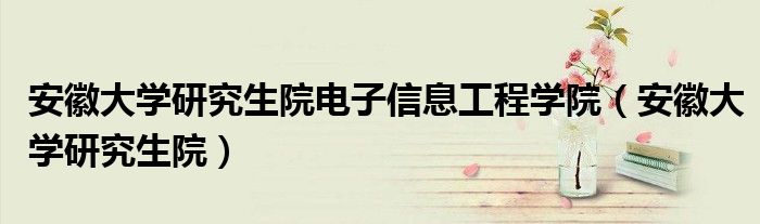 安徽大学研究生院电子信息工程学院（安徽大学研究生院）