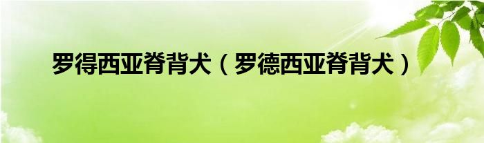 罗得西亚脊背犬（罗德西亚脊背犬）