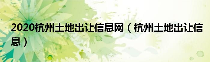 2020杭州土地出让信息网（杭州土地出让信息）