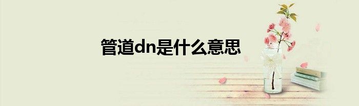 管道dn是什么意思