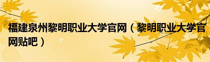 福建泉州黎明职业大学官网（黎明职业大学官网贴吧）