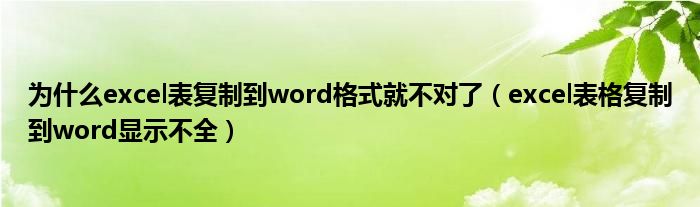 为什么excel表复制到word格式就不对了（excel表格复制到word显示不全）