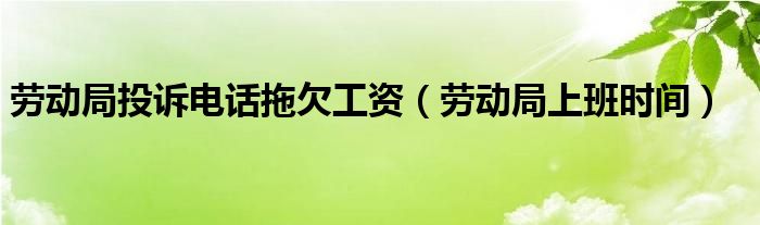 劳动局投诉电话拖欠工资（劳动局上班时间）