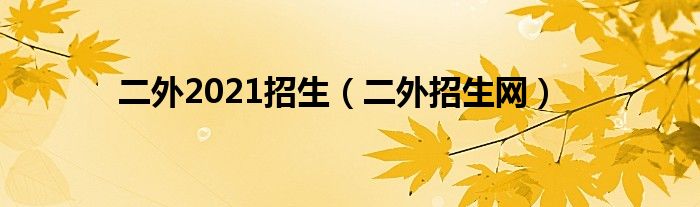 二外2021招生（二外招生网）