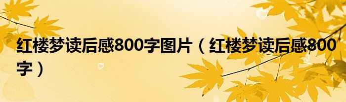 红楼梦读后感800字图片（红楼梦读后感800字）