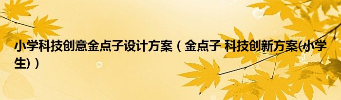 小学科技创意金点子设计方案（金点子 科技创新方案(小学生)）
