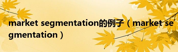 market segmentation的例子（market segmentation）