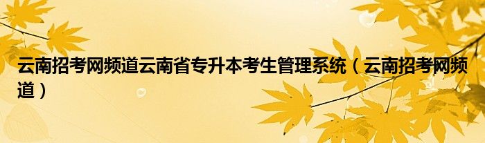 云南招考网频道云南省专升本考生管理系统（云南招考网频道）