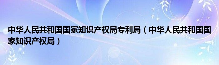 中华人民共和国国家知识产权局专利局（中华人民共和国国家知识产权局）
