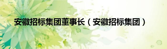 安徽招标集团董事长（安徽招标集团）