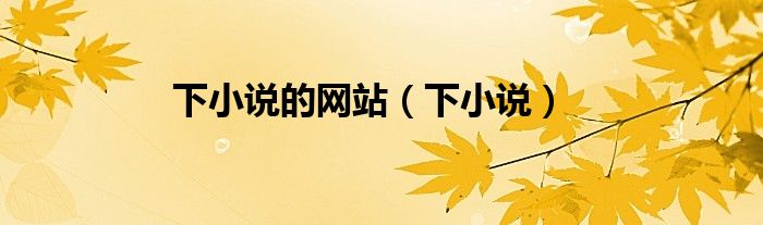 下小说的网站（下小说）