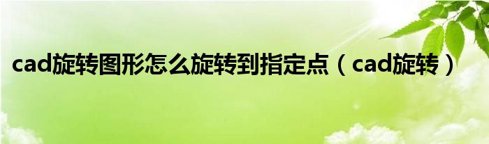 cad旋转图形怎么旋转到指定点（cad旋转）
