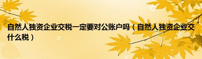 自然人独资企业交税一定要对公账户吗（自然人独资企业交什么税）