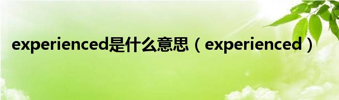 experienced是什么意思（experienced）