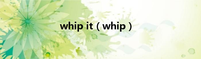 whip it（whip）