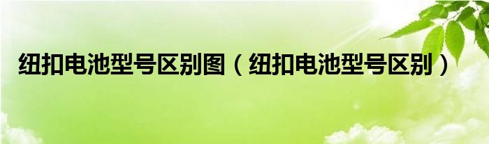 纽扣电池型号区别图（纽扣电池型号区别）