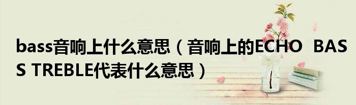 bass音响上什么意思（音响上的ECHO  BASS TREBLE代表什么意思）