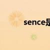 sence是什么意思英语（sence）