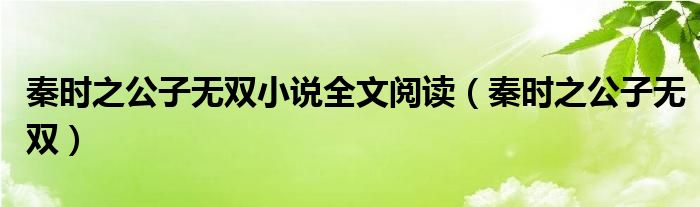 秦时之公子无双小说全文阅读（秦时之公子无双）