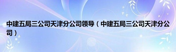 中建五局三公司天津分公司领导（中建五局三公司天津分公司）