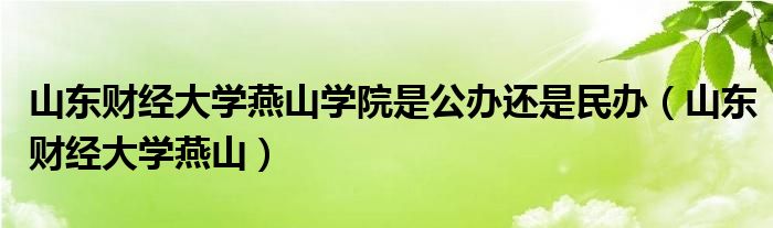 山东财经大学燕山学院是公办还是民办（山东财经大学燕山）