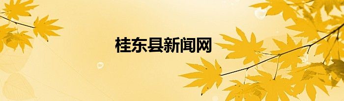 桂东县新闻网