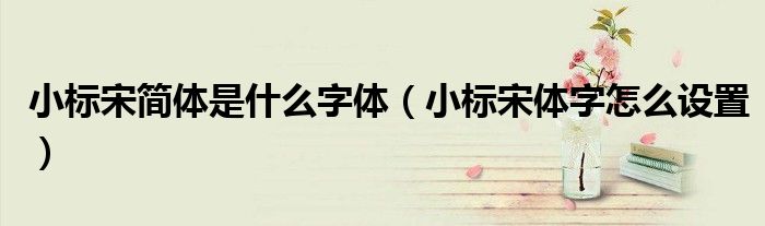 小标宋简体是什么字体（小标宋体字怎么设置）