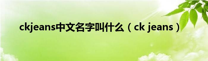 ckjeans中文名字叫什么（ck jeans）