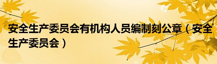 安全生产委员会有机构人员编制刻公章（安全生产委员会）