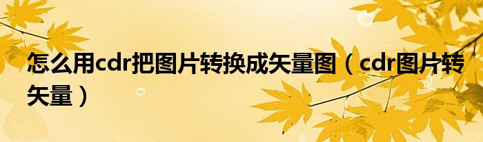 怎么用cdr把图片转换成矢量图（cdr图片转矢量）
