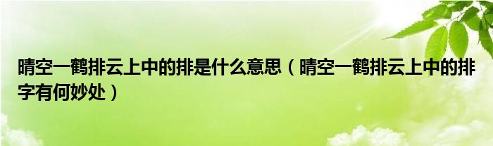晴空一鹤排云上中的排是什么意思（晴空一鹤排云上中的排字有何妙处）