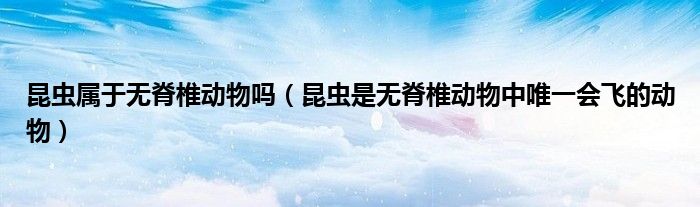 昆虫属于无脊椎动物吗（昆虫是无脊椎动物中唯一会飞的动物）