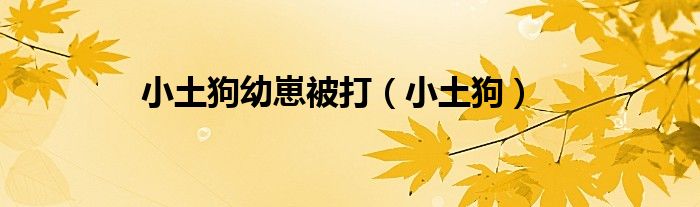 小土狗幼崽被打（小土狗）