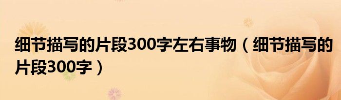 细节描写的片段300字左右事物（细节描写的片段300字）