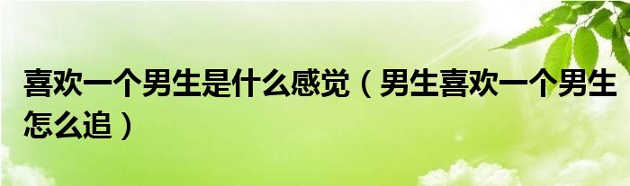 喜欢一个男生是什么感觉（男生喜欢一个男生怎么追）